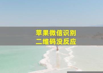 苹果微信识别二维码没反应