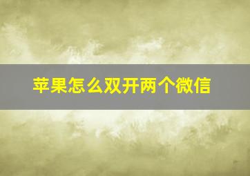 苹果怎么双开两个微信