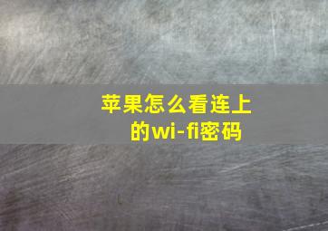 苹果怎么看连上的wi-fi密码