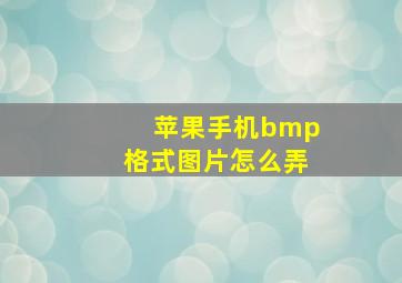 苹果手机bmp格式图片怎么弄