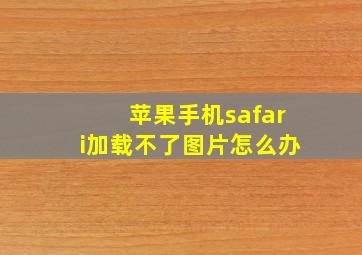 苹果手机safari加载不了图片怎么办