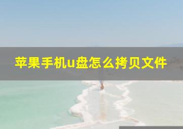 苹果手机u盘怎么拷贝文件