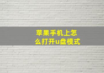 苹果手机上怎么打开u盘模式