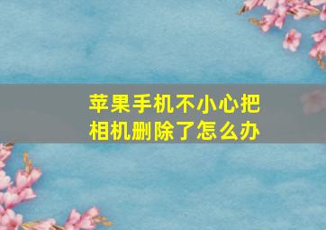 苹果手机不小心把相机删除了怎么办