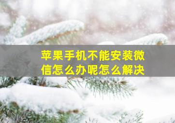 苹果手机不能安装微信怎么办呢怎么解决