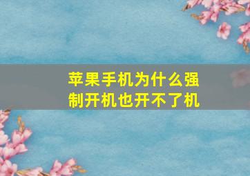 苹果手机为什么强制开机也开不了机