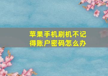 苹果手机刷机不记得账户密码怎么办