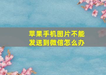 苹果手机图片不能发送到微信怎么办