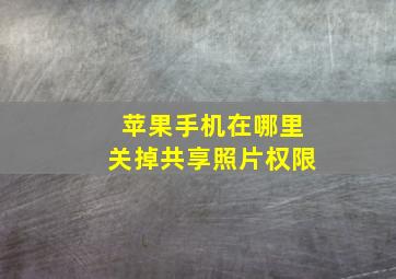 苹果手机在哪里关掉共享照片权限