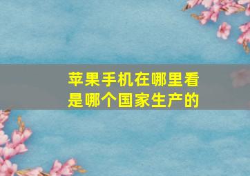 苹果手机在哪里看是哪个国家生产的