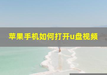 苹果手机如何打开u盘视频