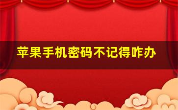 苹果手机密码不记得咋办