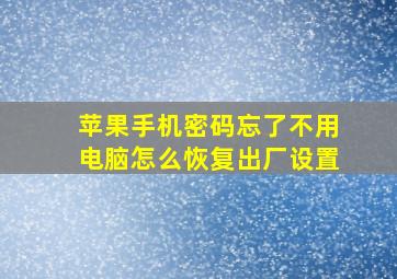 苹果手机密码忘了不用电脑怎么恢复出厂设置