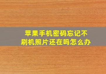 苹果手机密码忘记不刷机照片还在吗怎么办