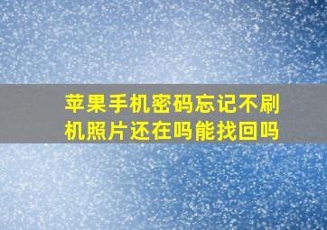 苹果手机密码忘记不刷机照片还在吗能找回吗