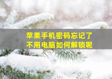 苹果手机密码忘记了不用电脑如何解锁呢