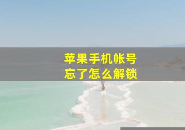 苹果手机帐号忘了怎么解锁