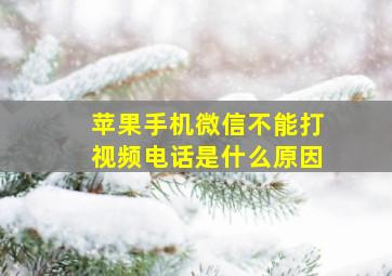 苹果手机微信不能打视频电话是什么原因