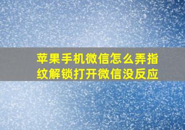 苹果手机微信怎么弄指纹解锁打开微信没反应