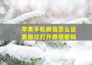 苹果手机微信怎么设置指纹打开微信密码