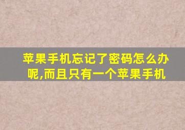 苹果手机忘记了密码怎么办呢,而且只有一个苹果手机