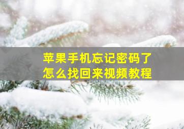 苹果手机忘记密码了怎么找回来视频教程