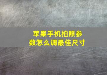 苹果手机拍照参数怎么调最佳尺寸