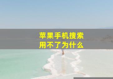 苹果手机搜索用不了为什么