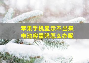 苹果手机显示不出来电池容量吗怎么办呢