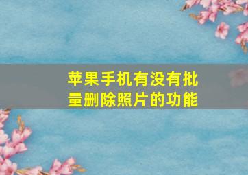 苹果手机有没有批量删除照片的功能