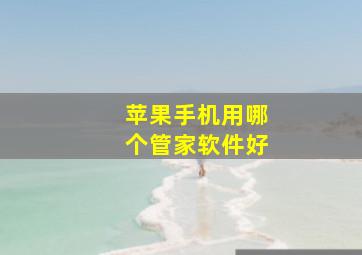 苹果手机用哪个管家软件好