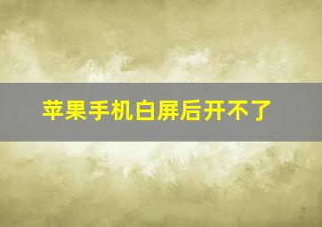 苹果手机白屏后开不了