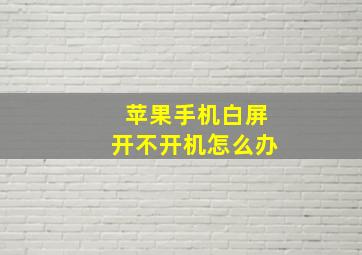 苹果手机白屏开不开机怎么办