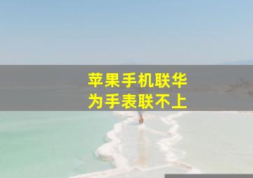 苹果手机联华为手表联不上