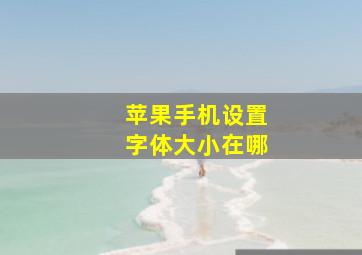 苹果手机设置字体大小在哪