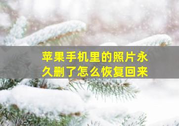 苹果手机里的照片永久删了怎么恢复回来