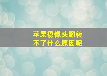 苹果摄像头翻转不了什么原因呢