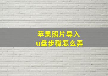 苹果照片导入u盘步骤怎么弄