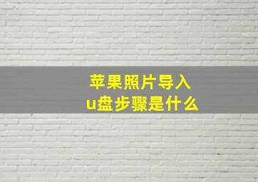 苹果照片导入u盘步骤是什么