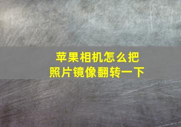 苹果相机怎么把照片镜像翻转一下