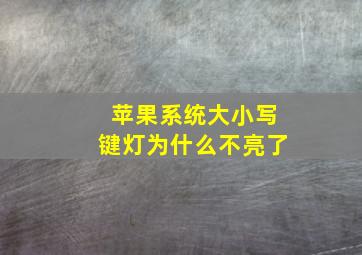 苹果系统大小写键灯为什么不亮了