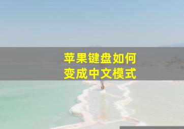 苹果键盘如何变成中文模式