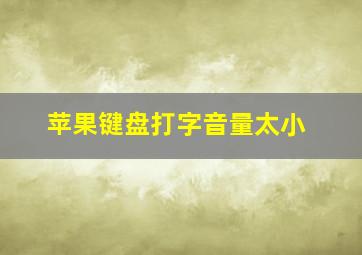 苹果键盘打字音量太小