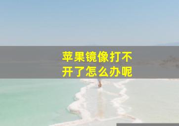 苹果镜像打不开了怎么办呢