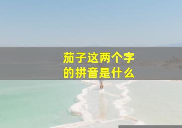 茄子这两个字的拼音是什么