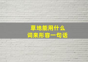 草地能用什么词来形容一句话