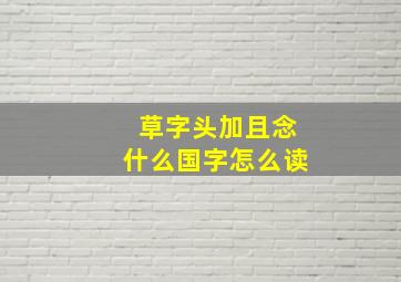 草字头加且念什么国字怎么读