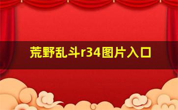 荒野乱斗r34图片入口