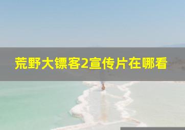 荒野大镖客2宣传片在哪看