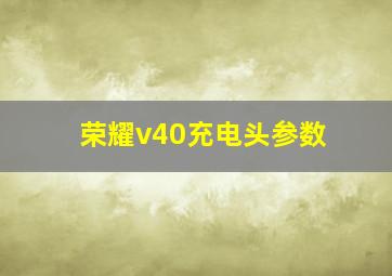 荣耀v40充电头参数